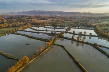 Balık üreme göletleri, Bielsko Biala 'daki balık havuzu Beskid Dağları Polonya Hava Aracı fotoğrafı