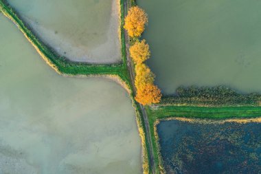Balık üreme göletleri, Bielsko Biala 'daki balık havuzu Beskid Dağları Polonya Hava Aracı fotoğrafı