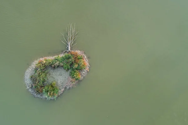 Lagoas Reprodução Peixes Lagoa Peixes Bielsko Biala Montanhas Beskid Polônia — Fotografia de Stock