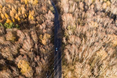 Sonbahar mevsiminde orman ve Silesia Polonya 'da karayolu hava aracı fotoğrafı