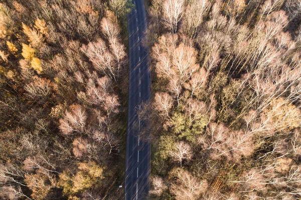 Floresta Outono Estação Outono Estrada Rodovia Silésia Polónia Drone Aéreo — Fotografia de Stock