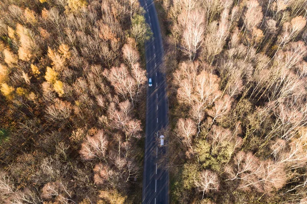 Wald Herbst Herbstsaison Und Autobahn Schlesien Polen Luftbild Drohne — Stockfoto