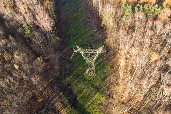 Floresta Outono Época Outono Pólo Elétrico Silésia Polónia Drone Aéreo — Fotografia de Stock