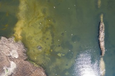 Atol gibi kum adaları olan güzel bir göl. Dabrowa Gornicza Polonya 'daki Pogoria Gölü hava aracı görüntüsü