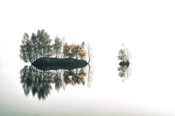 Dwie Wyspy Jesiennej Mgle Jeziorze Leśna Wyspa Nad Jeziorem Jezioro — Zdjęcie stockowe