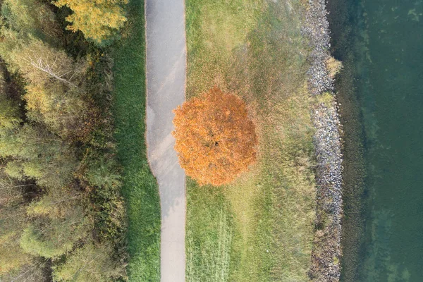 Schöner Herbstsee Herbst Herbstzeit Einsamer Baum Herbstfarben Pogoria See Dabrowa — Stockfoto