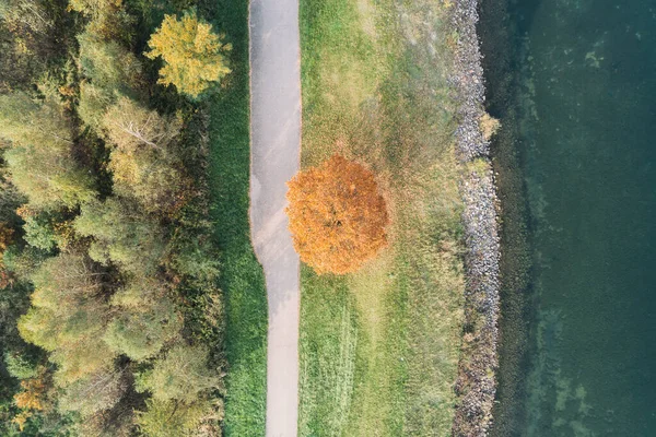 Schöner Herbstsee Herbst Herbstzeit Einsamer Baum Herbstfarben Pogoria See Dabrowa — Stockfoto