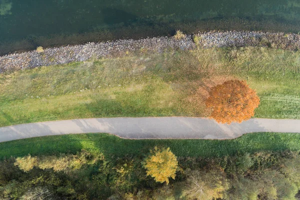 Lindo Lago Outono Outono Estação Outono Árvore Solitária Cores Outono — Fotografia de Stock