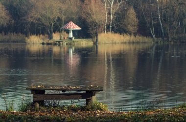 Sonbaharda şehir parkı, sonbahar mevsimi sabah Sosnowiec Silesia Polonya