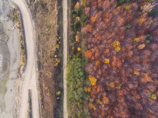 Flygfoto Skog Höst Höst Säsong Färgglada Träd Schlesien Polen — Stockfoto