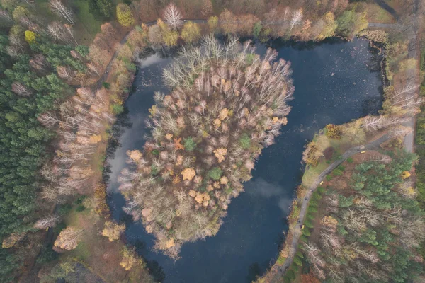 秋天的空中无人拍的森林照片 色彩斑斓的西里西亚树木 — 图库照片