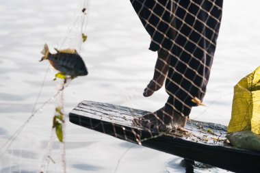 Geleneksel balıkçılar Inle gölünde bir teknede balık yakalıyorlar. Asya 'da Myanmar Gölü' nde filede kürek çeken balıkçılar.