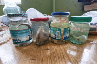 Pripyat, Çernobil Yasak Bölge 'deki Hidrobiyoloji Hayvan Binası Laboratuvarı. Ukrayna Sovyetler Birliği 'nde Çernobil Nükleer Santrali Yabancılaşma Bölgesi