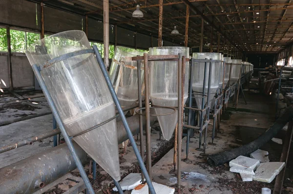 Laboratory of Hydrobiology animal building in Pripyat, Chernobyl exclusion Zone. Chernobyl Nuclear Power Plant Zone of Alienation in Ukraine Soviet Union