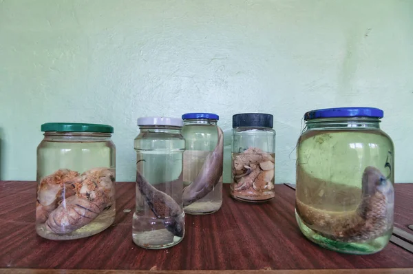 Laboratory of Hydrobiology animal building in Pripyat, Chernobyl exclusion Zone. Chernobyl Nuclear Power Plant Zone of Alienation in Ukraine Soviet Union