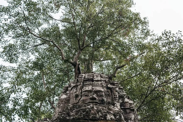 Kamboçya Daki Angkor Wat Tapınağı Kompleksi Asya Daki Siem Reap — Stok fotoğraf