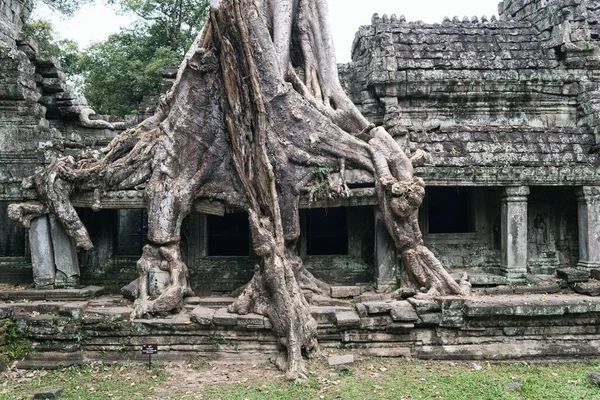 Angkor Wat Kompleks Świątyni Kambodży Siem Reap Buddyjski Rozciągacz Azji — Zdjęcie stockowe