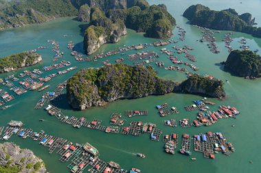 Yüzen köy Ha Long Körfezi, Kedi Ba Adası, Vietnam, inen ejderha hanı Asya Hava Aracı Görünümü