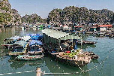 Yüzen köy Ha Long Körfezi, Kedi Ba Adası, Vietnam, inen ejderha körfezi Asya 