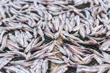 Kedi maması adası, Vietnam, ağlarda kuruyan balıklar Ha long bay Vietnam Asya