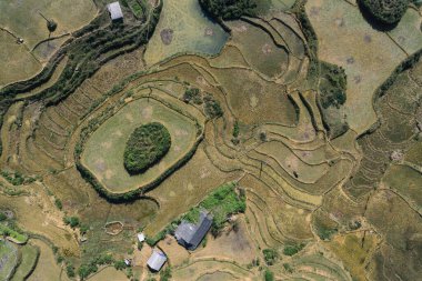 Pirinç tarlaları, pirinç tarlaları Paddy Sa Pa Lao Cai Vietnam 'da.