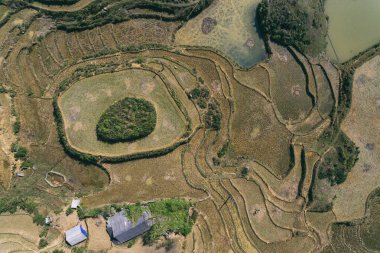 Pirinç tarlaları, pirinç tarlaları Paddy Sa Pa Lao Cai Vietnam 'da.