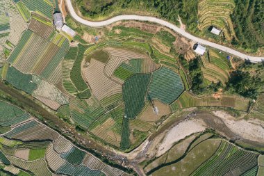 Pirinç tarlaları, pirinç tarlaları Paddy Sa Pa Lao Cai Vietnam 'da.