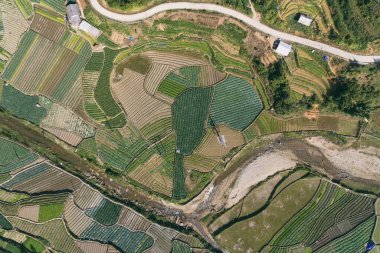 Pirinç tarlaları, pirinç tarlaları Paddy Sa Pa Lao Cai Vietnam 'da.