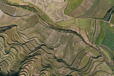 Pirinç tarlaları, pirinç tarlaları Paddy Sa Pa Lao Cai Vietnam 'da.