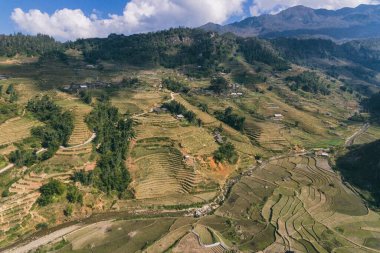 Pirinç tarlaları, pirinç tarlaları Paddy Sa Pa Lao Cai Vietnam 'da.