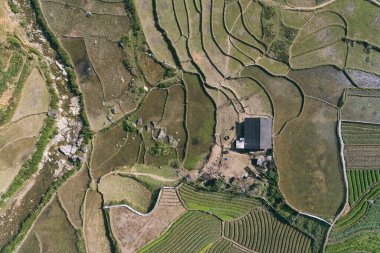 Pirinç tarlaları, pirinç tarlaları Paddy Sa Pa Lao Cai Vietnam 'da.
