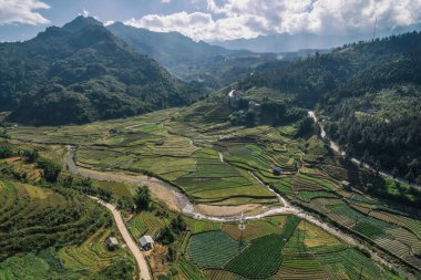 Pirinç tarlaları, pirinç tarlaları Paddy Sa Pa Lao Cai Vietnam 'da.