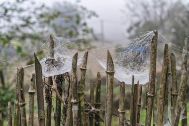 Pirinç tarlaları, pirinç tarlası Paddy Sa Pa Lao Cai Vietnam Asya 'da 