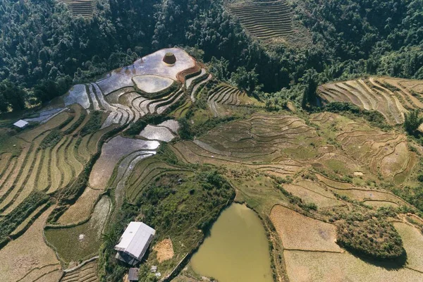 Campos Arroz Terraza Arroz Paddy Lao Cai Vietnam Asia Aerial — Foto de Stock