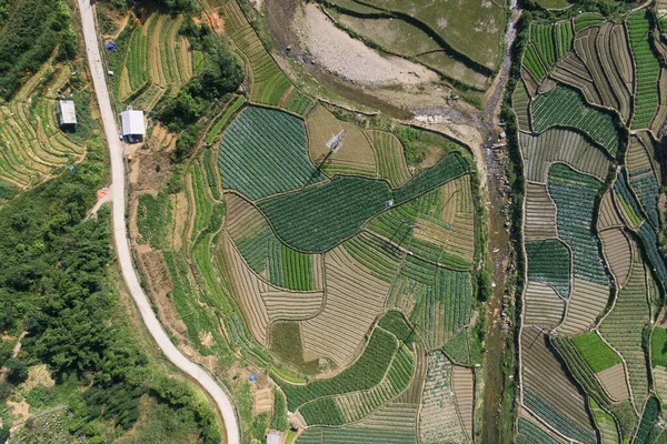 Campos Arroz Terraza Arroz Paddy Lao Cai Vietnam Asia Aerial — Foto de Stock