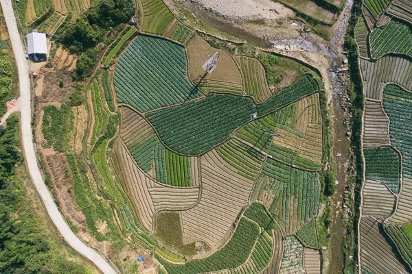 Campos Arroz Terraza Arroz Paddy Lao Cai Vietnam Asia Aerial — Foto de Stock