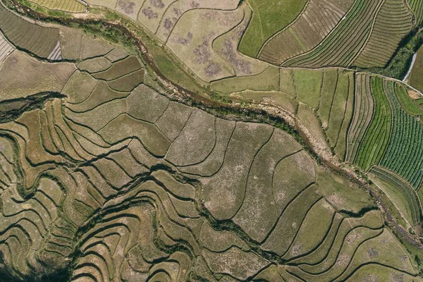 Pirinç tarlaları, pirinç tarlaları Paddy Sa Pa Lao Cai Vietnam 'da.