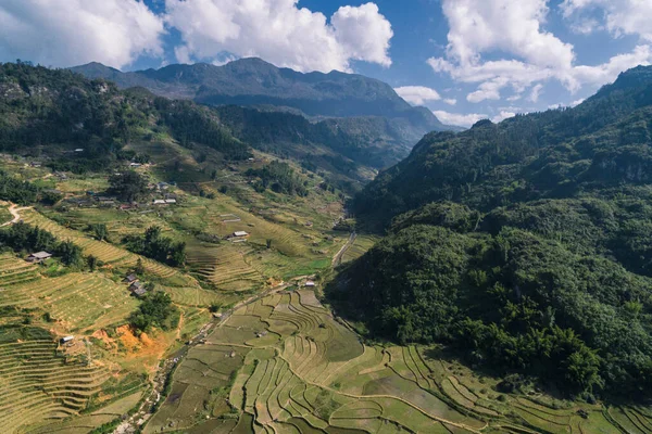 Campos Arroz Terraza Arroz Paddy Lao Cai Vietnam Asia Aerial — Foto de Stock