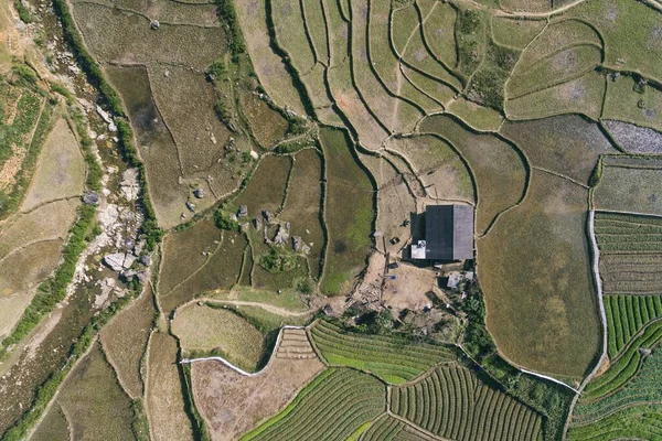 Campos Arroz Terraço Arroz Paddy Lao Cai Vietnam Ásia Aerial — Fotografia de Stock