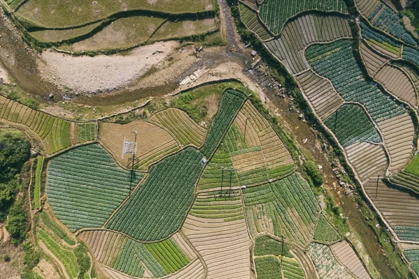 Campos Arroz Terraza Arroz Paddy Lao Cai Vietnam Asia Aerial — Foto de Stock