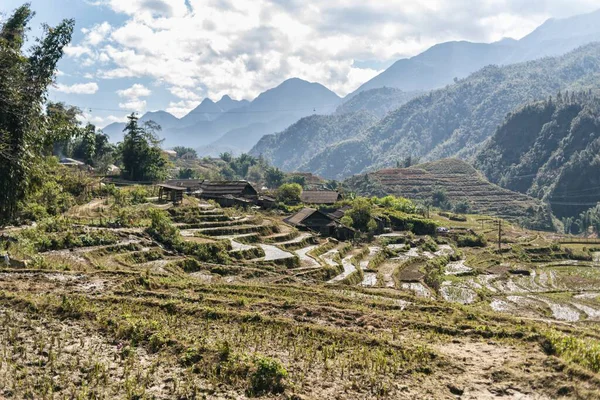 Lao Cai越南亚洲稻田 — 图库照片