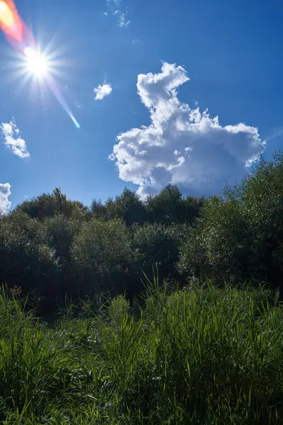 Fotografii Krajina Povodňové Pláni Řeky Sněžnice Velmi Krásné Mraky Obloze — Stock fotografie