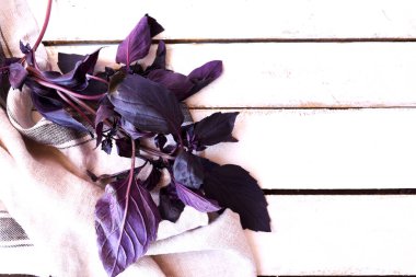 Tatlı Basil ve Gingham çizgili kumaşlı beyaz ahşap arka plan. Çarşaf ve Havlu