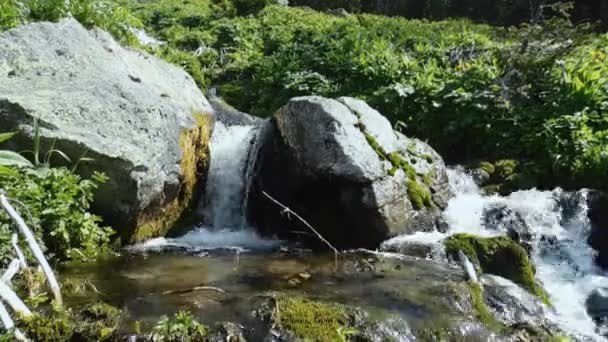Strumień Górski Biegnie Szybko Przez Kamienie Tworząc Mały Wodospad — Wideo stockowe