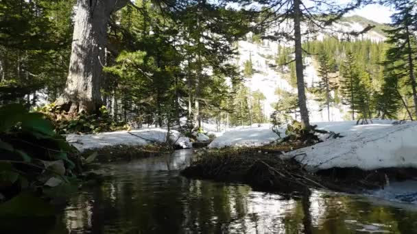 Arroyo Forestal Fluye Suavemente Bosque Primaveral Entre Las Colinas Nevadas — Vídeos de Stock