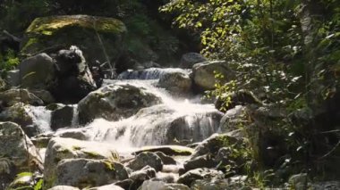Bir dağ deresi hızla büyük taşlardan aşağı akar. Su güneşte parlıyor. Kıyıda, huş yaprakları rüzgardan sallanıyor..