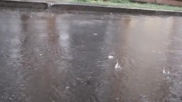 雨点落在湿路上 形成了气泡 雨下得很大 水在沥青路面上流淌 — 图库视频影像