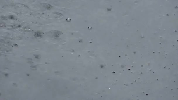 Regen Tropft Auf Den Asphalt Und Bildet Blasen — Stockvideo