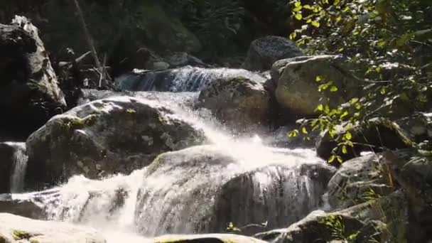 Rasch Fließt Ein Gebirgsbach Große Steine Hinunter Wasser Funkelt Der — Stockvideo