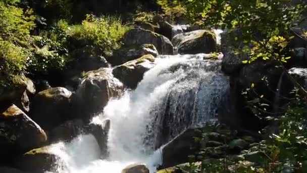 Riacho Montanha Flui Rapidamente Entre Grandes Pedras Formando Uma Bela — Vídeo de Stock